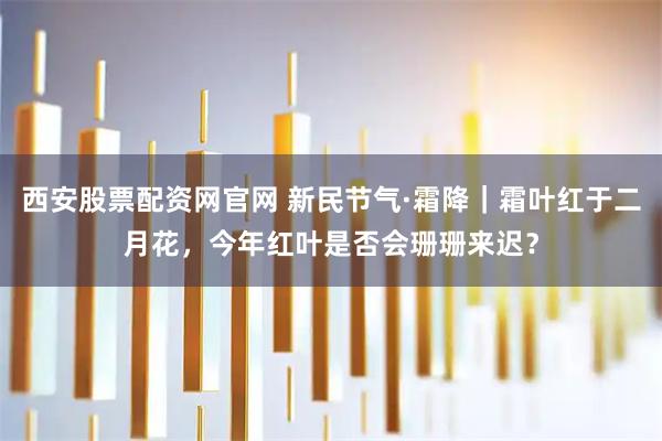 西安股票配资网官网 新民节气·霜降｜霜叶红于二月花，今年红叶是否会珊珊来迟？