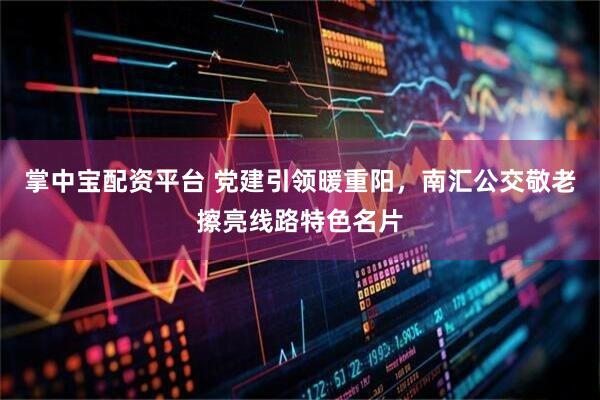 掌中宝配资平台 党建引领暖重阳，南汇公交敬老擦亮线路特色名片